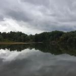 Stiely's Rivershore Campground