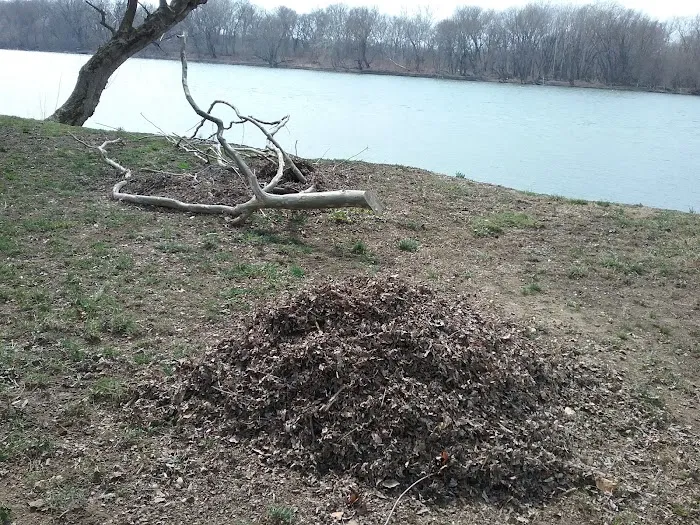 Stiely's Rivershore Campground Picture 6