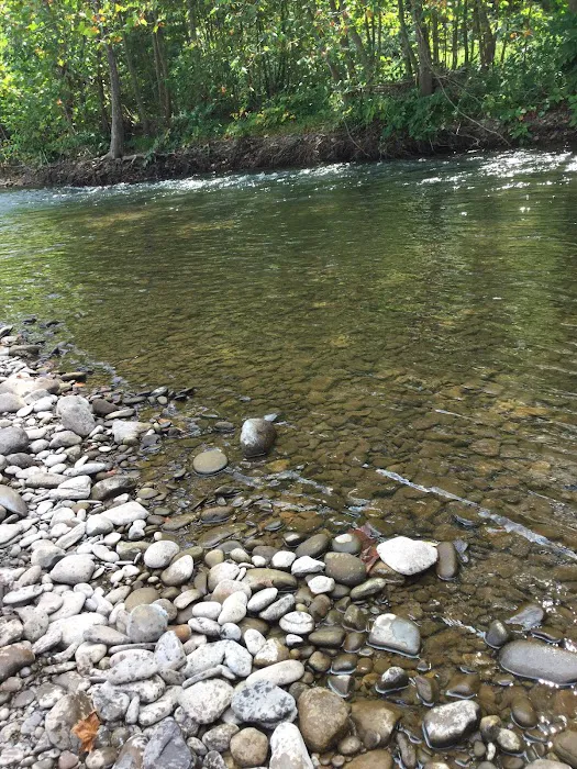 Creekside Manor Campground Picture 4