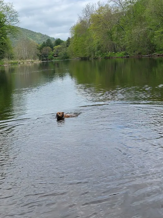 Creekside Manor Campground Picture 8