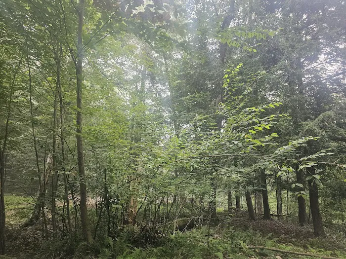 Elk Creek Escape Picture 9