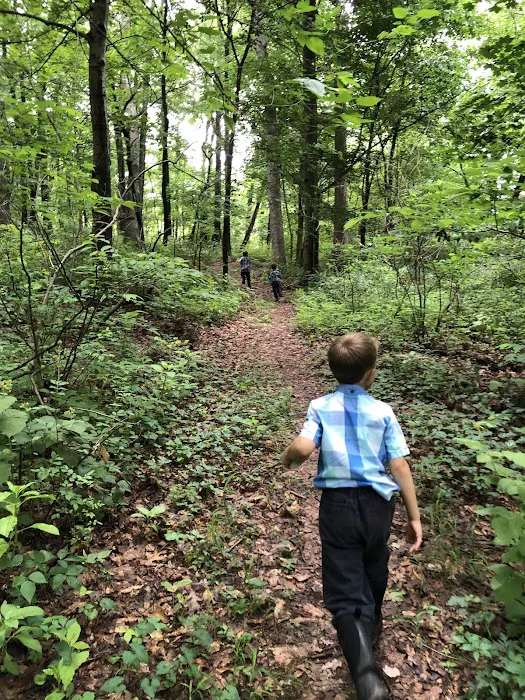 Mt Lebanon Campmeeting Picture 8