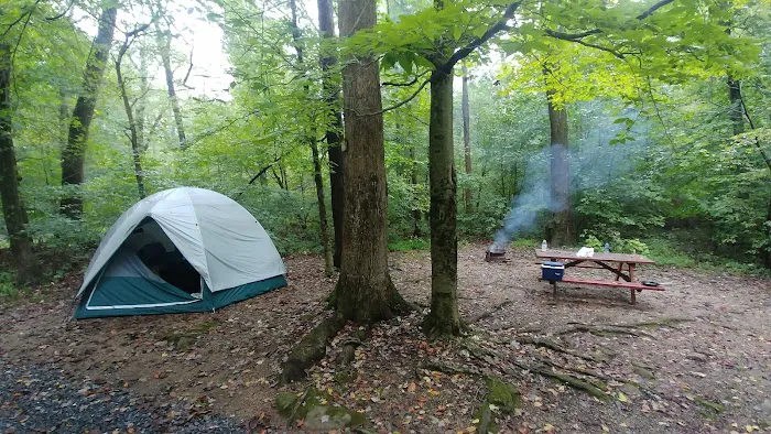 Pinch Pond Family Campground Picture 2