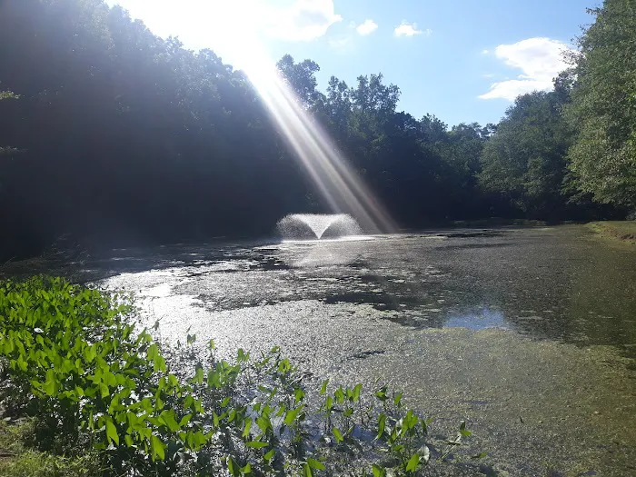 Pinch Pond Family Campground Picture 3