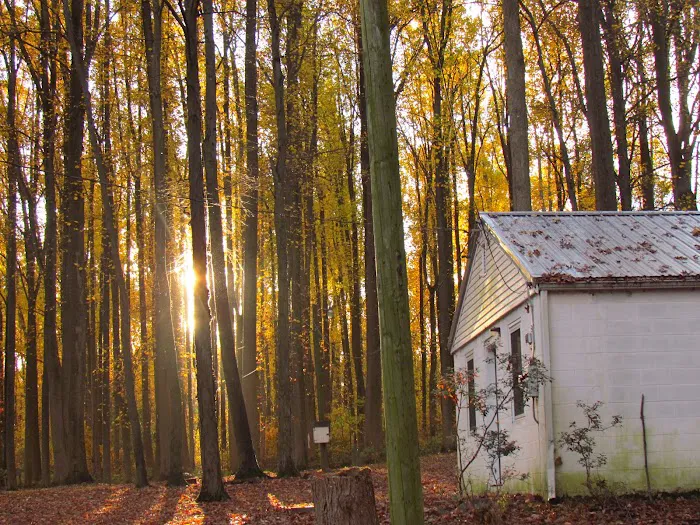 United Zion Camp Grove Picture 10