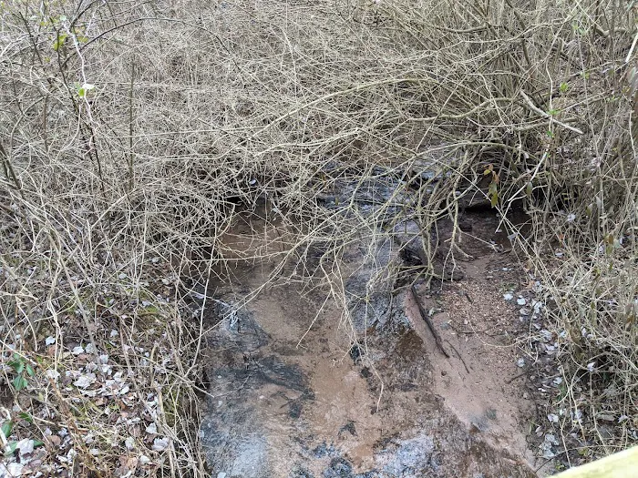 Camp Kirchenwald Picture 8