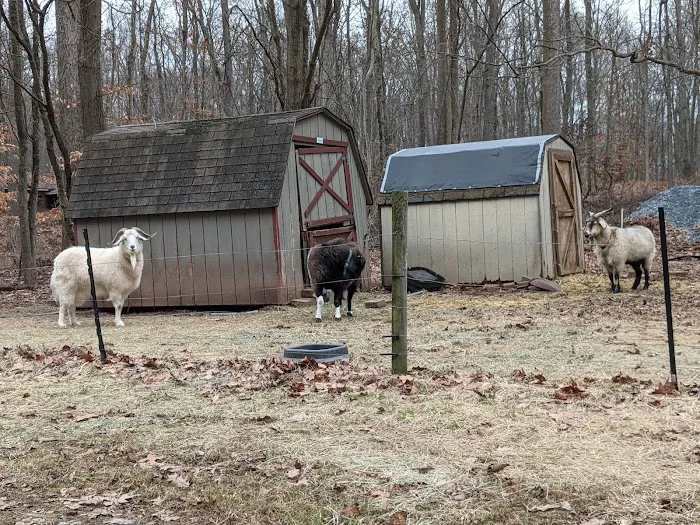 Camp Kirchenwald Picture 9