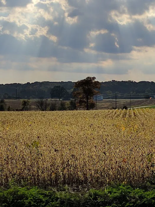 Hershey Conewago Campground Picture 2