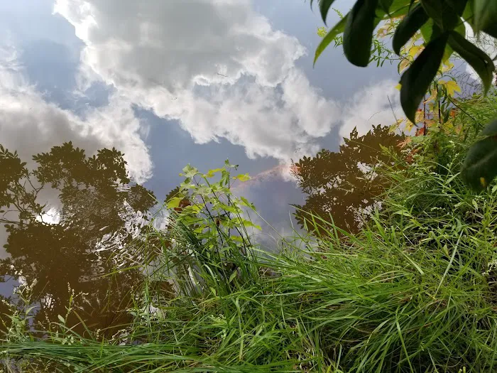 Hershey Conewago Campground Picture 4