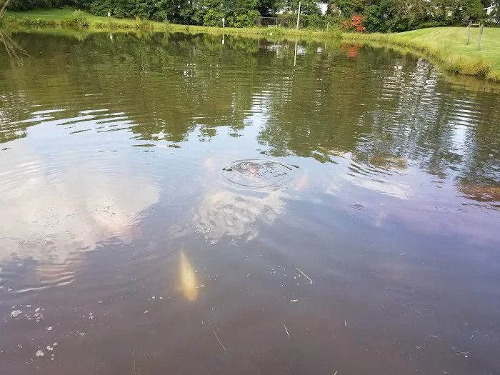 Hershey Conewago Campground Picture 9