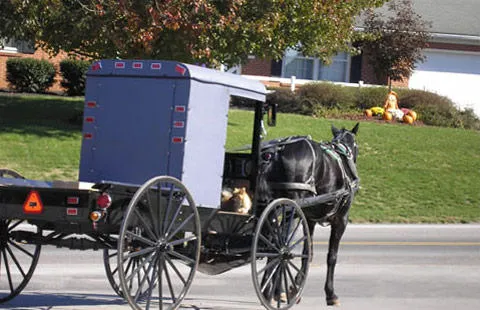 Elizabethtown / Hershey KOA Holiday Picture 4