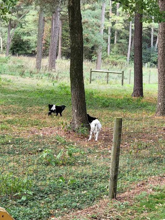 Adventures await retreat & winery Picture 1