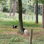 Adventures await retreat & winery