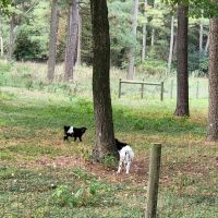 Adventures await retreat & winery ico