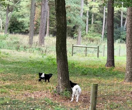 Adventures await retreat & winery