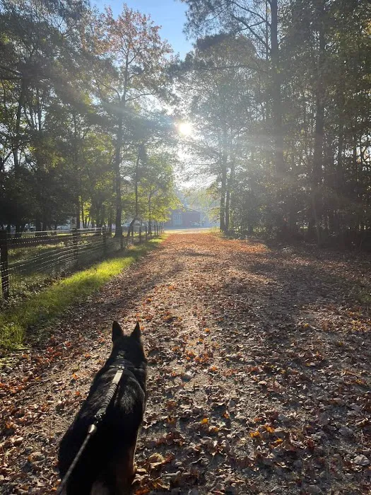 Adventures await retreat & winery Picture 7