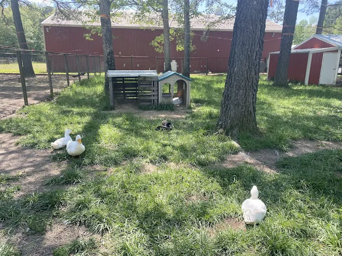 Adventures await retreat & winery Picture 5