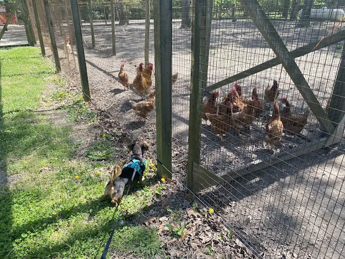 Adventures await retreat & winery Picture 9