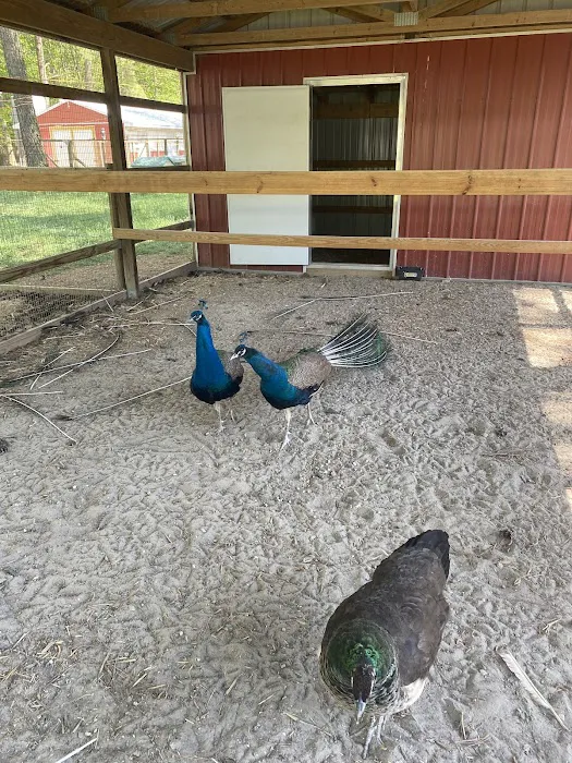 Adventures await retreat & winery Picture 3