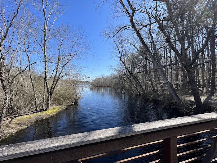 Killens Pond State Park Campground Picture 3