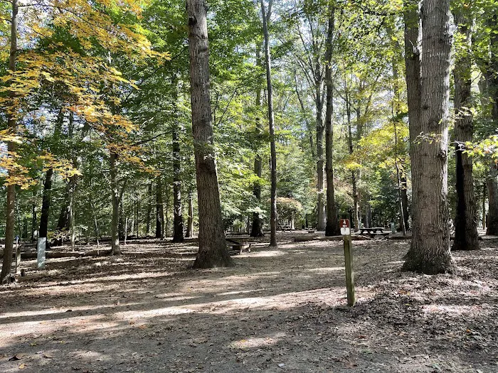 Killens Pond State Park Campground Picture 9