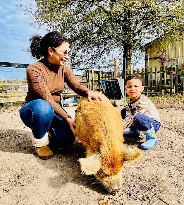 Cowtown Cabins Picture 2