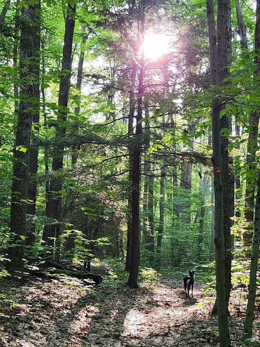 Camp Earth Connection Picture 4