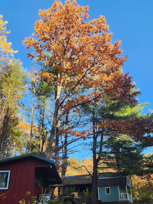 Camp Earth Connection Picture 3