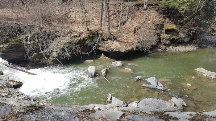 Buttermilk Falls State Park Picture 2