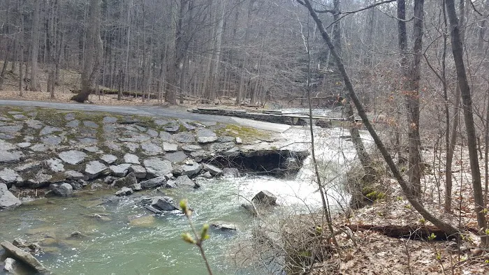 Buttermilk Falls State Park Picture 5