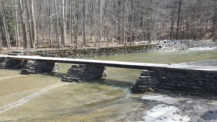 Buttermilk Falls State Park Picture 9