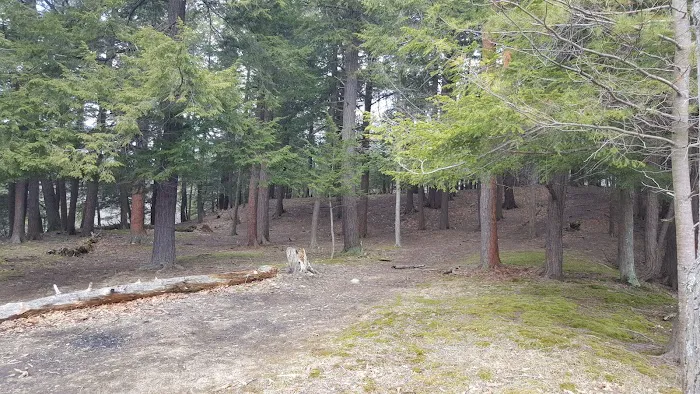 Buttermilk Falls State Park Picture 3