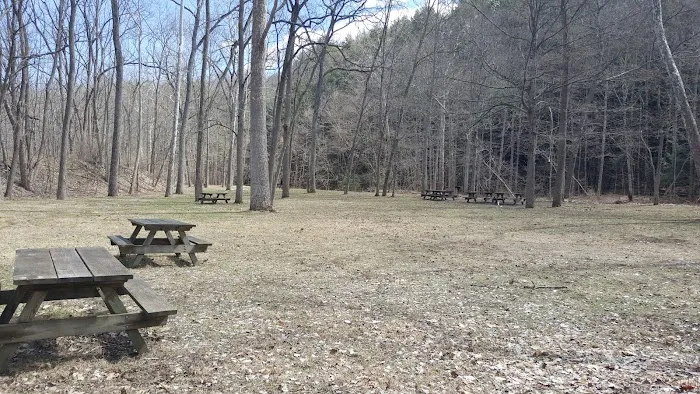 Buttermilk Falls State Park Picture 8