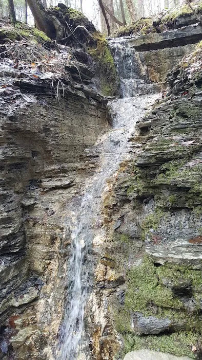 Buttermilk Falls State Park Picture 4