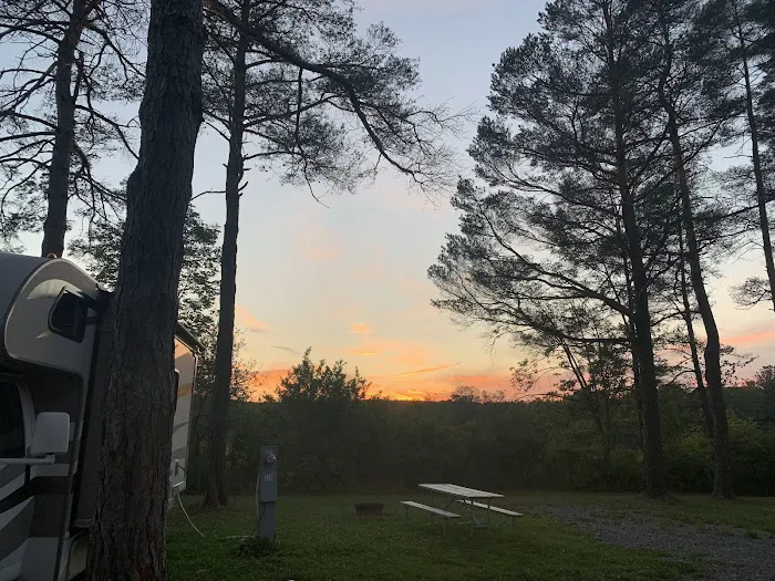 Pinecreek Campground Picture 9