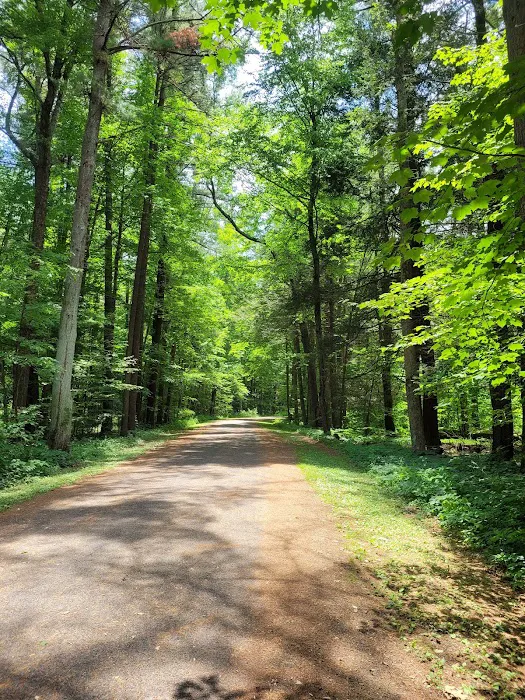 Camp Ervay Picture 2