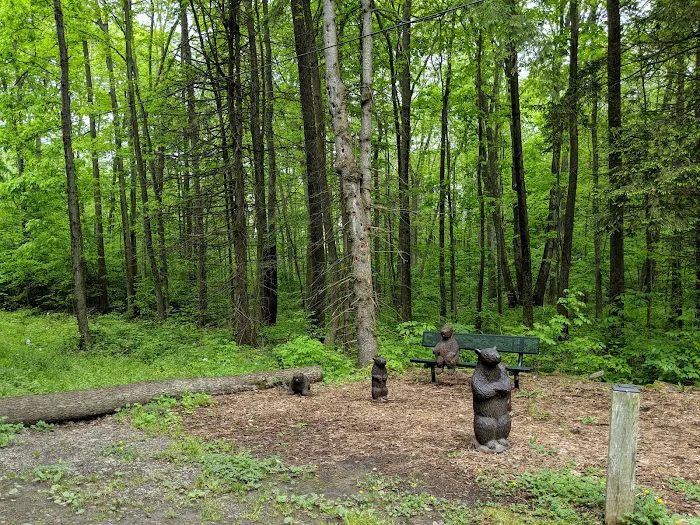 Lake Grove Park Picture 8