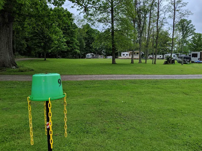 Lake Grove Park Picture 9