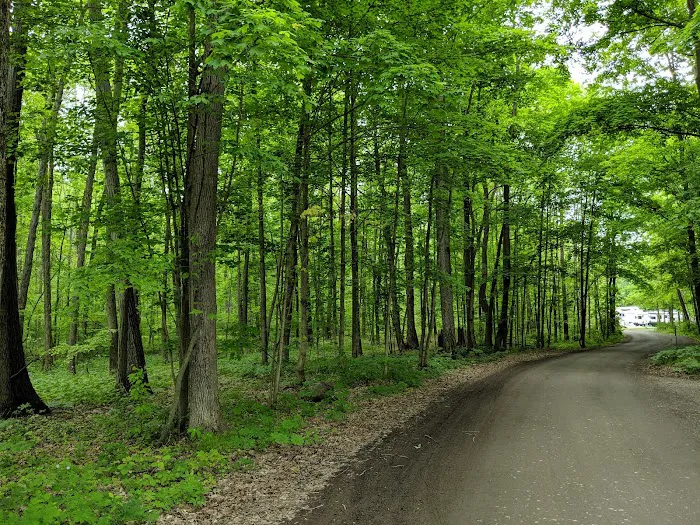 Lake Grove Park Picture 10