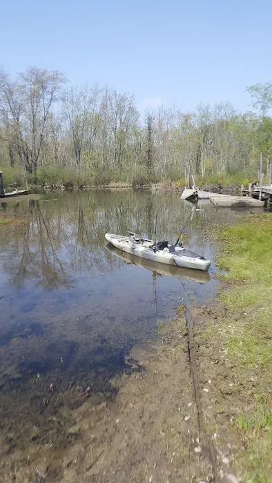Cayuta Lake Camping Picture 3