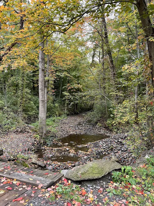 Spruce Row Campground Picture 8