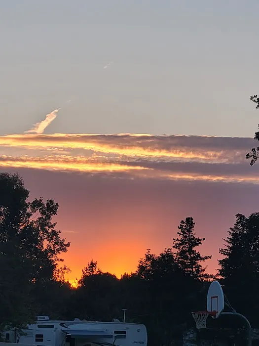 Spruce Row Campground Picture 1