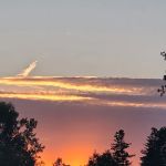 Spruce Row Campground