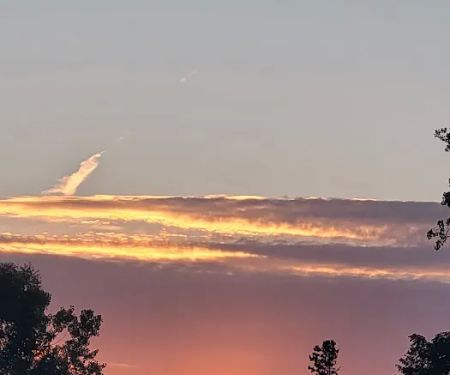 Spruce Row Campground