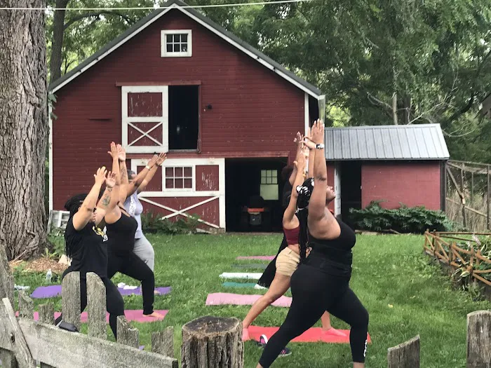 Camp SkyTent Picture 8