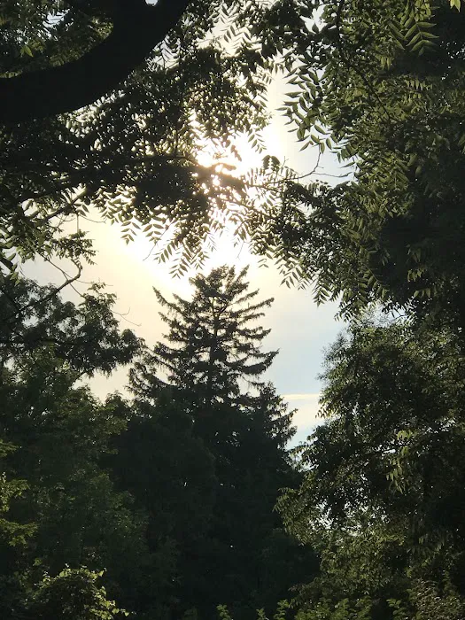 Camp SkyTent Picture 1