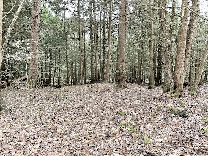 Harpy Hollow Picture 8