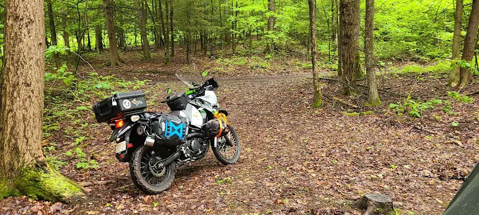 Harpy Hollow Picture 1