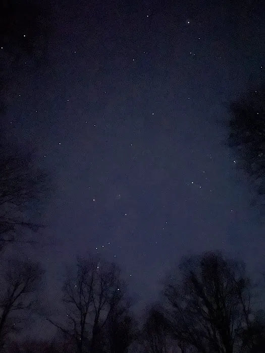 Harpy Hollow Picture 9