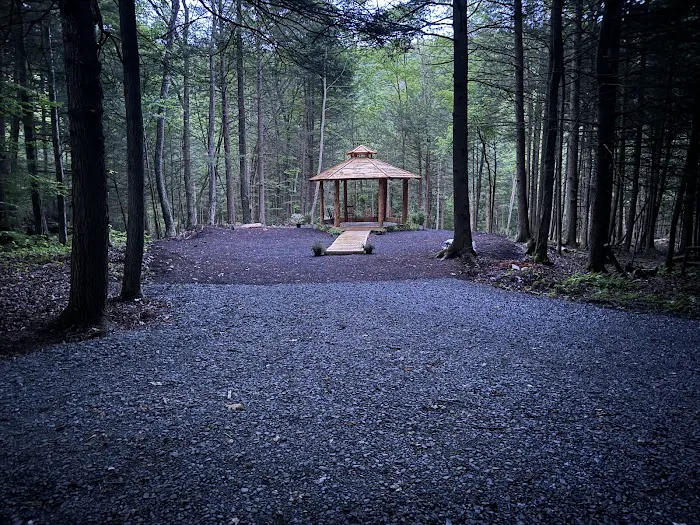 Harpy Hollow Picture 4